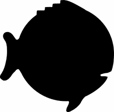 Sunfish Boat Covers and boat parts