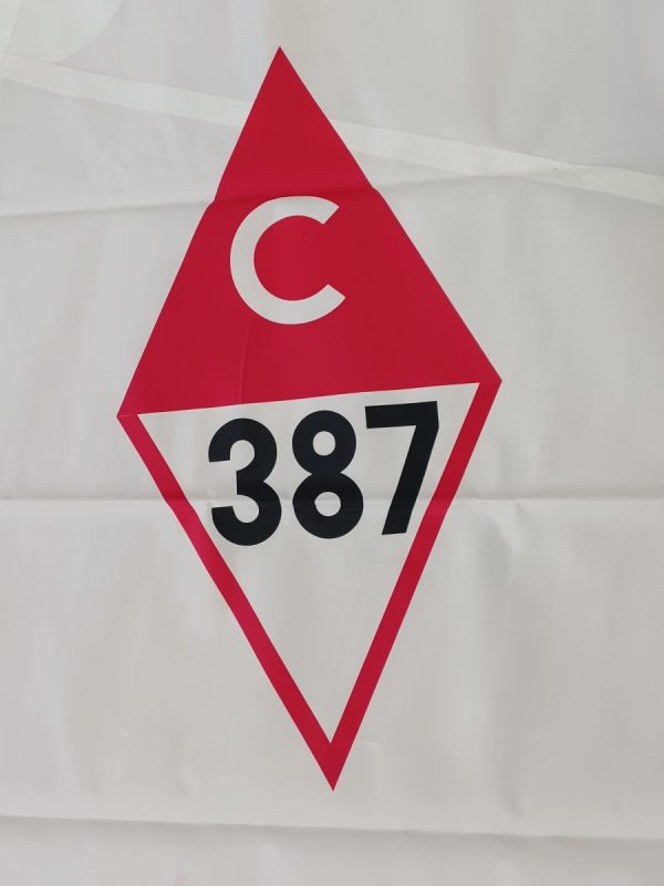 Catalina 387